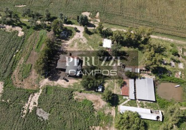 241 Has - Maciel (Santa Fe) - Mixto 