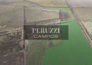 92 Has - Piamonte (Santa Fe) - Agricola/Ganadero