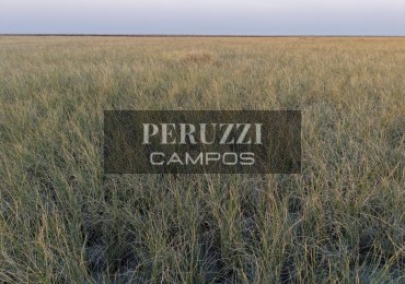 275 Has - Logroño (Santa Fe) - Aptitud Algodonero