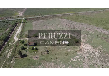 424 Has - San Genaro (Santa Fe) - Ganadero/Cria sobre asfalto