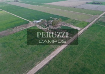 68 Has - Diaz (Santa Fe) - Tambo sobre asfalto