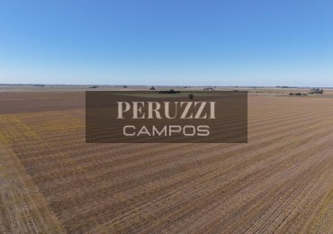 30 Ha - Cañada Rica (Santa Fe) - Agricola