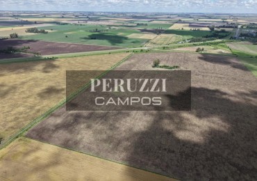 40 Has - San Genaro (Santa Fe) - Agricola sobre asfalto