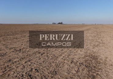 195 Has - Saira (Cordoba) - Agricola 