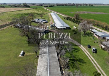 5 Has - Oliveros (Santa Fe) - Granja
