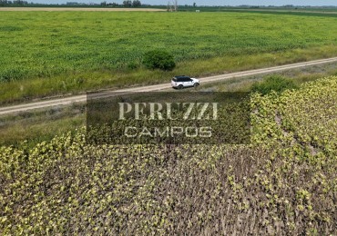 30 HAS - MONJE (SANTA FE) - AGRICOLA