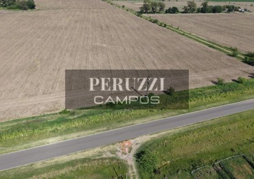 39 Has - San Genaro (Santa Fe) - Agricola