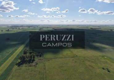 112 HAS - DIAZ (SANTA FE) - MIXTO