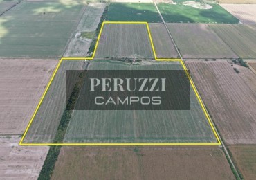 49 HAS - ESPERANZA (SANTA FE) - AGRICOLA